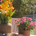 Elleci Apartamento Mondovì