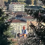 Elleci