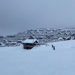 Elleci * Mondovì