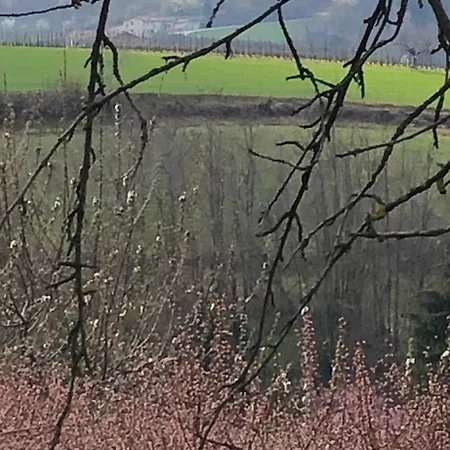 דירה Elleci Mondovì