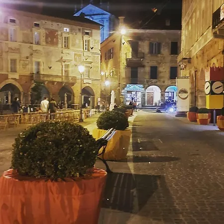 Elleci