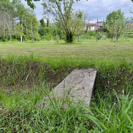 Elleci * Mondovì